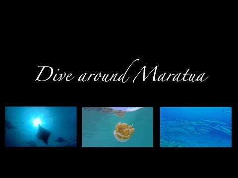 Dive around Maratua, Nabucco Island,Indonesien