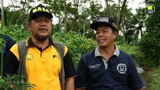 Download lagu Sukses budidaya Cabai dengan teknologi pupuk NASA ,Satu lobang dua jenis pohon cabai. mp3 Download lagu Sukses budidaya Cabai dengan teknologi pupuk NASA ,Satu lobang dua jenis pohon cabai. mp3