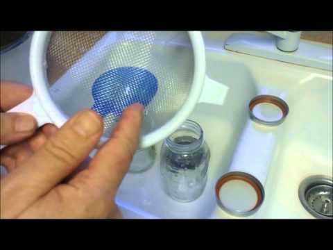 download lagu mp3 mp4 How To Make Essiac Tea, download lagu How To Make Essiac Tea gratis, unduh video klip How To Make Essiac Tea