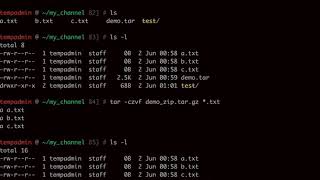 Bash Script: Compress (zip) files using "tar" command