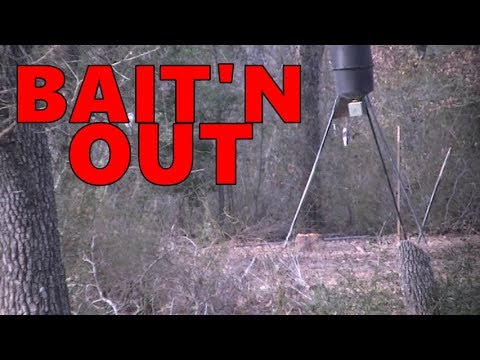 QUICK TIP #44 AROMA BAIT