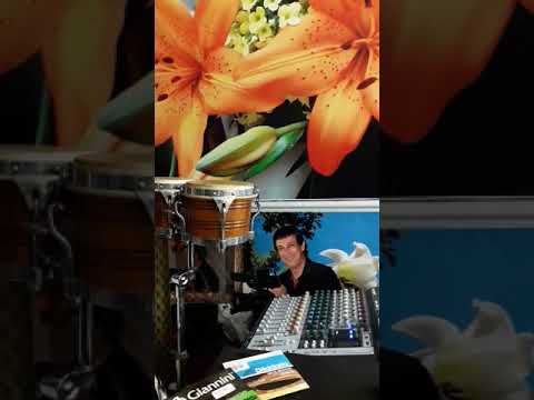 Fui Uma Ovelha Perdida - Luiz Artur