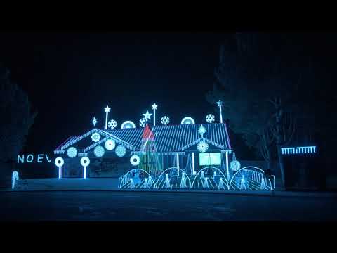 DeBolt Christmas Light Show 2020 - Talking Trees