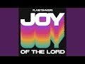 Joy Of The Lord (Live)