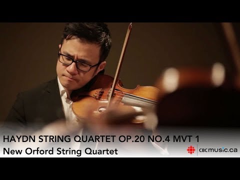 Haydn String Quartet Op.20 No.4 1st mvt | New Orford String Quartet
