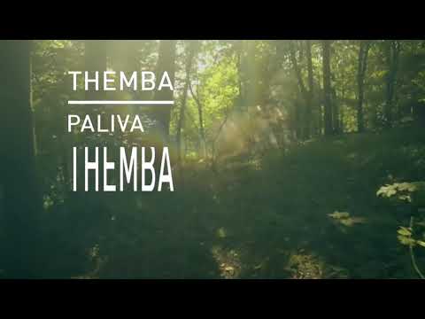 THEMBA - I Will Do Better