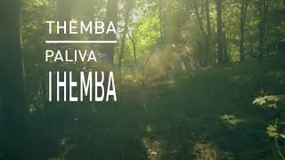 Themba - I Will Do Better video