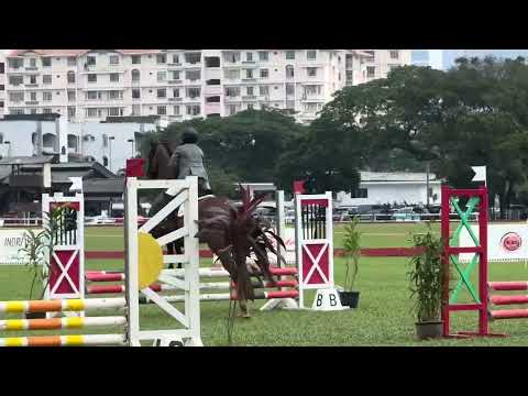 POLO FIESTA DAY 1 - 3rd PLACE 🥉RIDING FABIO BOY !!