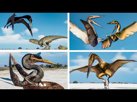 All 12 Flying Reptiles "BEST & MOST UNIQUE" Animations + All DLC | JWE 2