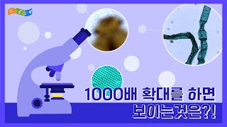 [교육]현미경으로 보는 1/1000의 세상