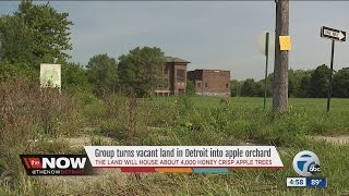 Plans to turn vacant lot in Detroit into an apple orchard