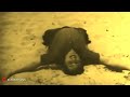 Ulagam Piranthathu Enakkaga MGR Whatsapp Status