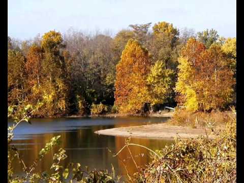 Danutė Neimontaitė - Juodas garvežys