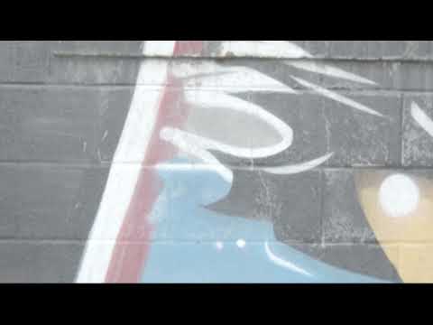 SHADOW X - LIFE WITH NO COMPLAINTS