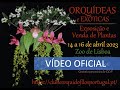 Exposição de Orquídeas e Exóticas - Lisboa 2023