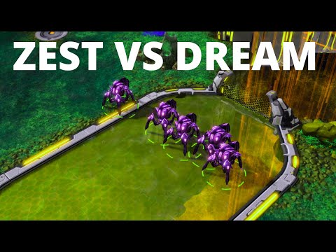 Zest (P) vs Dream (T)