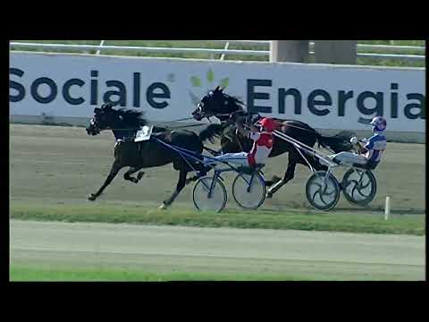 Napoli Trotto 13/05/2022 - 7ª corsa