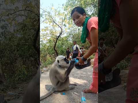 Bhagwan ke darshan hue #shorts #trending