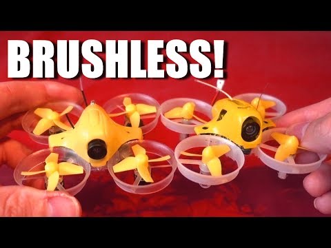 real-brushless-tiny-whoop