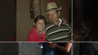 Viaje a mi Pillipampa. Gorrión Andino