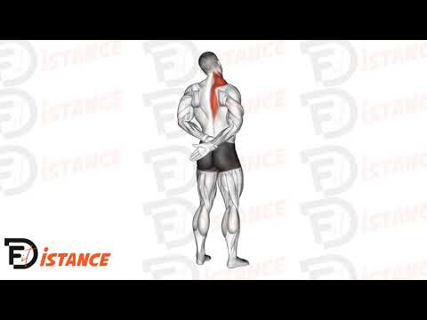 Exercice Étirement du trapèze bras derrière le dos