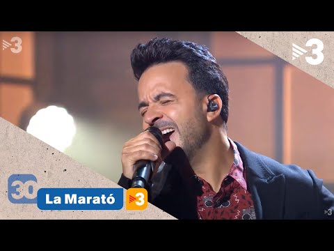 Luis Fonsi canta "Junts lluitarem per la vida" - La Marató de TV3