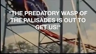 Sufjan Stevens - "The Predatory Wasp of the Palisades Is Out To Get Us!"