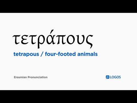 How to pronounce Tetrapous in Biblical Greek - (τετράπους / four-footed animals)