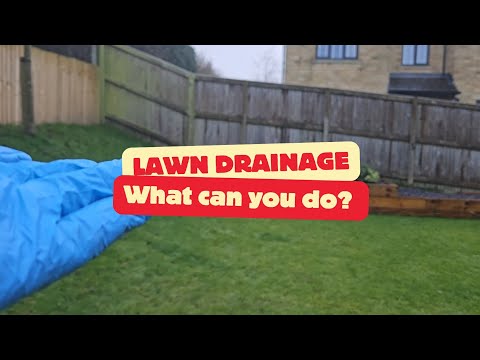 Improve drainage in your lawn, you may not need to spend loads of money