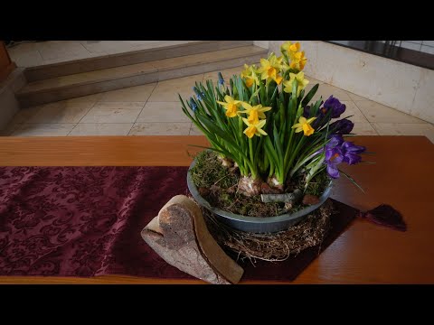 Gottesdienst 17.03.2024