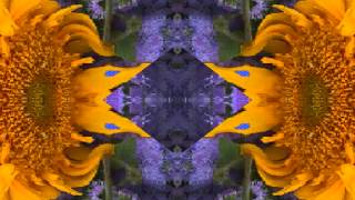 I Feel So Good by Boz Scaggs live in San Francisco 1971)