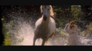 Solitary Experiments  Counterpart