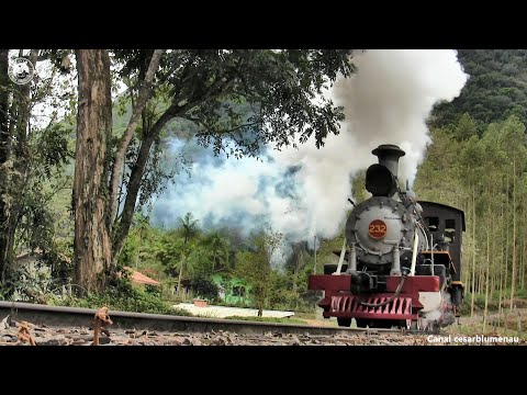 🇧🇷 Trem turístico na curva/ Tourist train on the curve - Apiúna/SC - 2022 - (Brasil)
