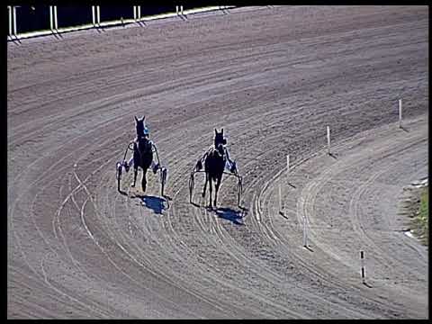 Trotto 18/06/2020 - 3ª prova di qualifica