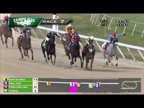 Pelican Stakes Tampa Bay Downs