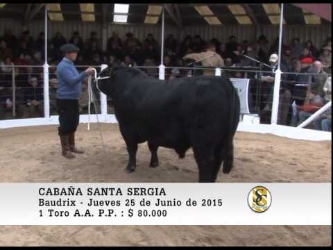 25-06-15 Venta de Toros P.P. - Santa Sergia - Baudrix