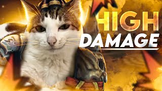 "NO DAMAGE" THEY SAY...