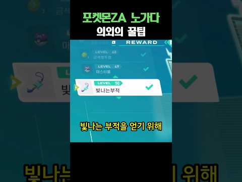 포켓몬ZA 노가다 꿀팁