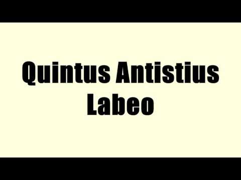 Quintus Antistius Labeo
