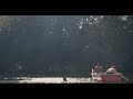 Ello & Zackavelli - Mein Film Ello & Zackavelli - Mein Film