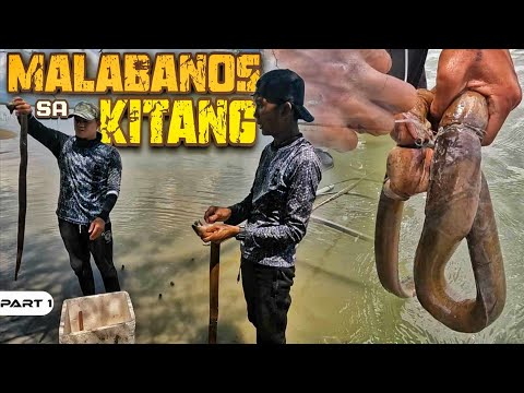P1-Malabanos Huli sa Kitang - EP1107