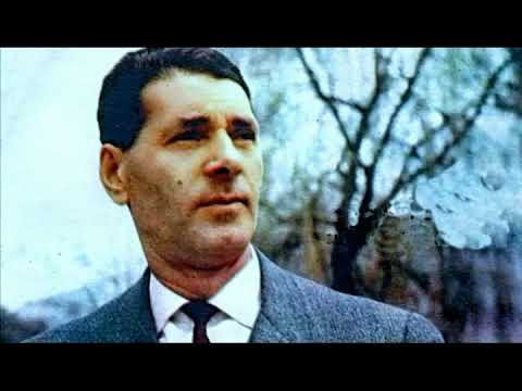 Zaim Imamović i Ansambl Jovice Petkovića - Raslo mi je badem drvo