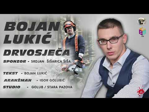 Bojan Lukić -  Drvosječa - Official Audio 2026