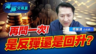 今天這是反彈還是回升! 海豚告訴你怎麼辨別 #2330台積電 #日央 #2317鴻海 #0050正二 (圖)