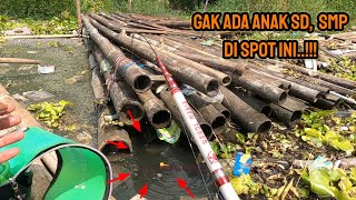 Download lagu FULL OF BABOONS‼️NO ELEMENTARY AND JUNIOR HIGH SCHOOL CHILDREN IN THIS SPOT || Fishing for red de... mp3