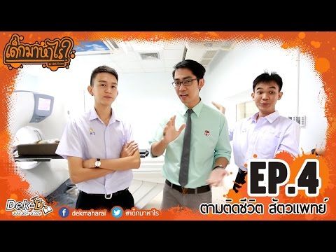ความอ่อนแอในผู้ชายจากโรค เชื้อโรคม้าออนไลน์