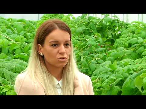 Nauka u selu: Bašta bez zemlje