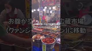 【韓国旅行】食の広蔵市場巡りや韓流ドラマでも有名な華城行宮✨歴史ある水原華城を観光したり♬最後は月光レインボー噴水へ✨Part2は歴史ある場所巡りです
