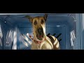 Alexander Williams Animation Supervisor Director Reel