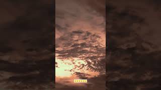 Download lagu விடு விடு என்றாலும் விலகிட சொன்னாலும் என் காதல் தீராதடி #1k #trending #music mp3